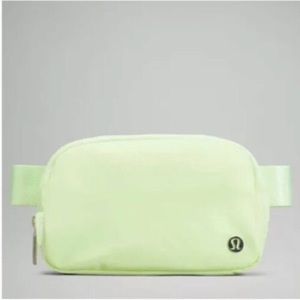 *Rare NWT Everywhere Belt Bag - 1L in Faded Zap